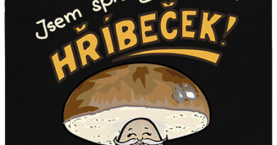 Tričko s potiskem hříbku a nápisem \"Jsem správný dědeček hříbeček!\" - černé pánské tričko